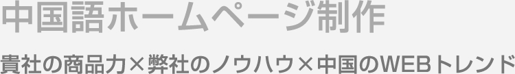 中国語ホームページ制作
            貴社の商品力×弊社のノウハウ×中国のWEBトレンド